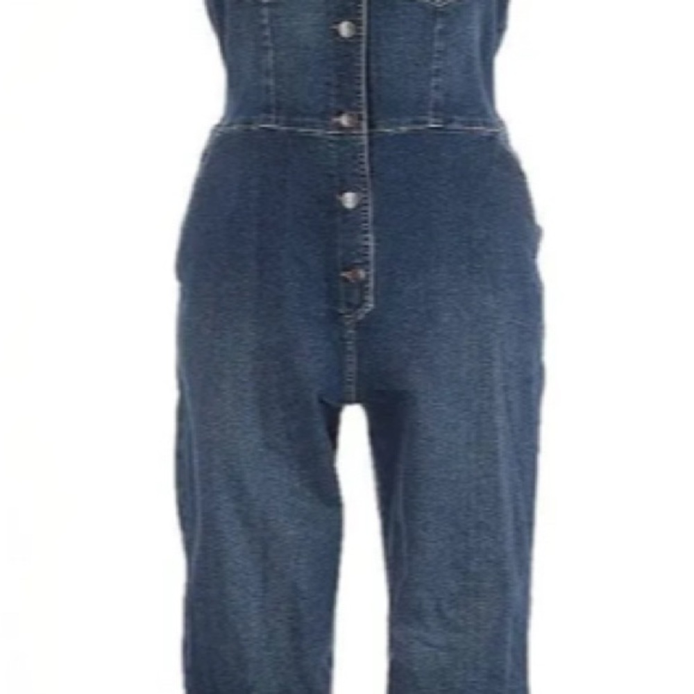 Celebrity Pink Blue Denim Overalls